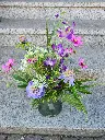 Blumenstrauss mit Wiesenblumen lila/rosa