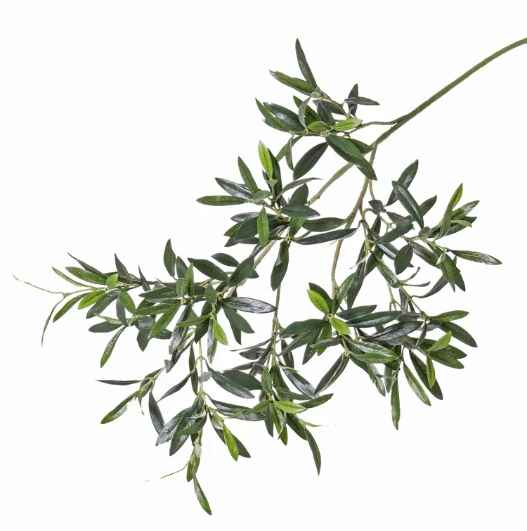 [import] Grünzweig Olive UV-Schutz